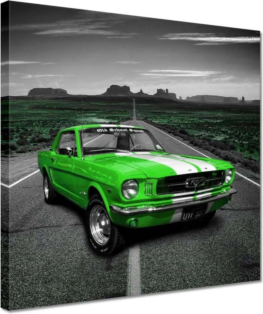 Vászonkép 30x30 Lime Mustang