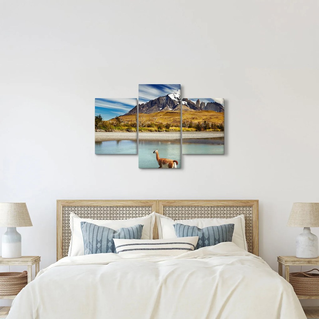 Kép - Torres del Paine Nemzeti Park (90x60 cm)