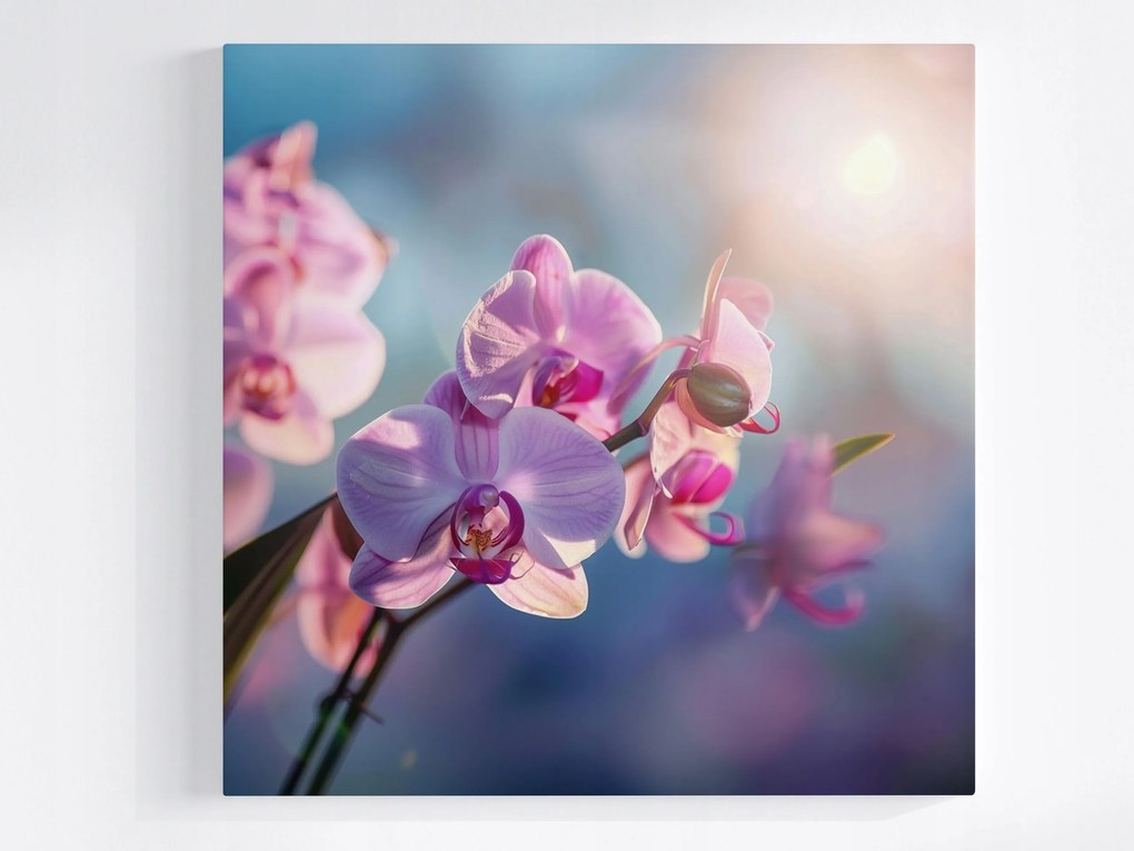 Vászonkép Canvas Zen Virág Orchidea Természet 40x40