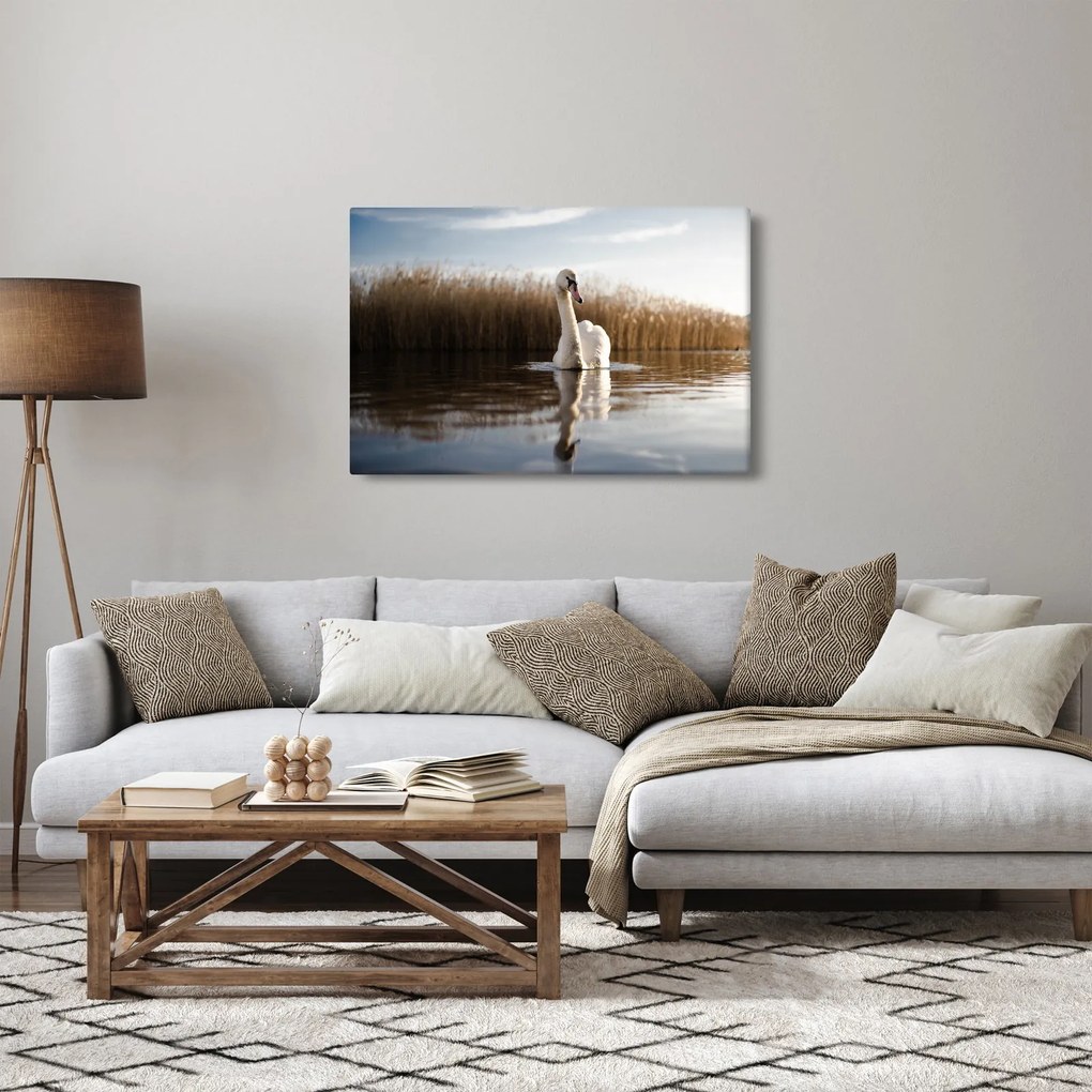 Hattyú képe (90x60 cm)