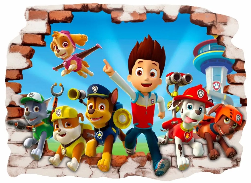 Falmatrica "PAW Patrol 4" Méret: 70x50cm