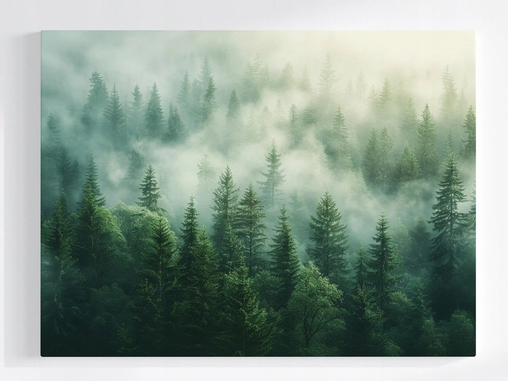 Poszter Tájkép Hegyek Fák Erdő Köd Nap 100x75