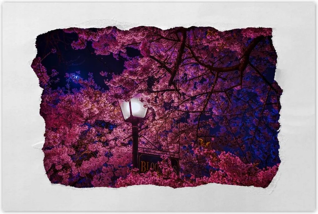 Poszterek 90x60 Mély éjszaka Lámpa Virágok