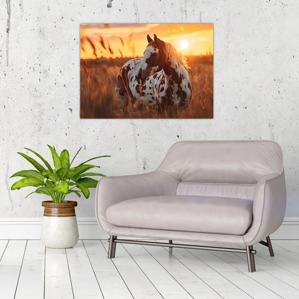 Kép - Ló naplementében (70x50 cm)