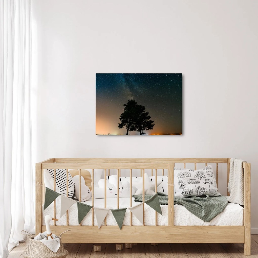 Egy éjszakai égbolt fákkal képe (70x50 cm)
