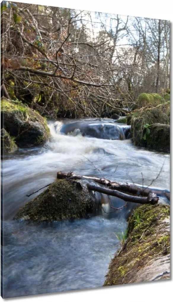 Vászonkép 80x120 Okos hegyi folyó