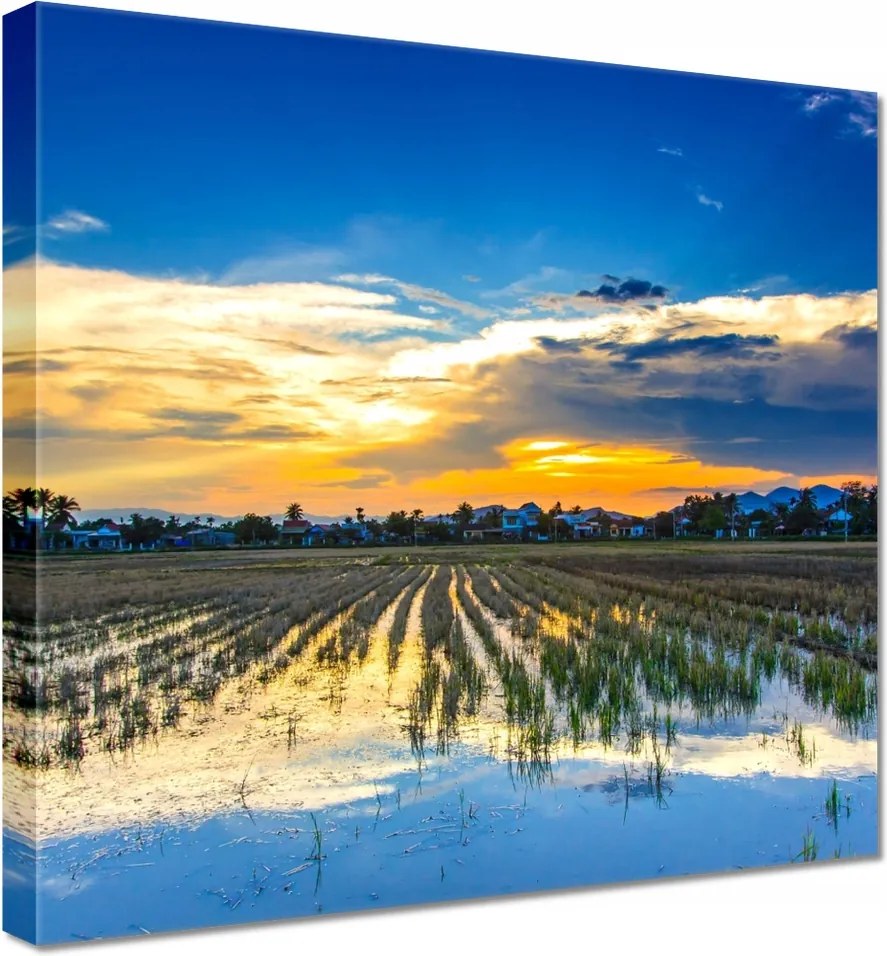 Vászonkép 70x70 Kilátás Tájkép