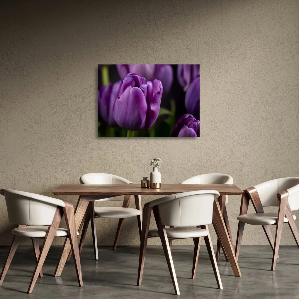 Tulipán vírág képe (üvegen) (70x50 cm)