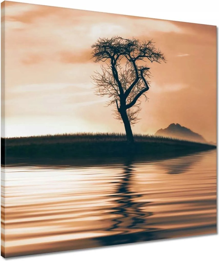 Vászonkép 50x50 Fa a szigeten