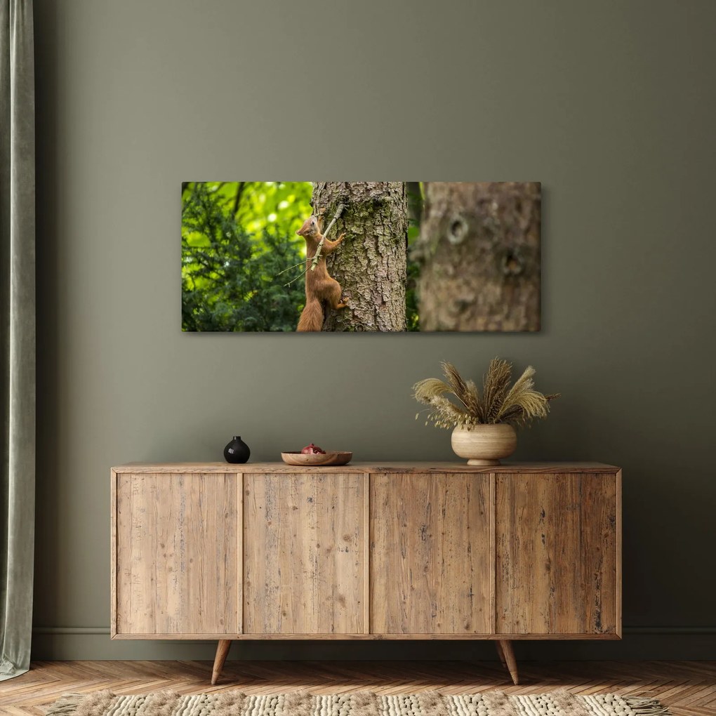 Kép - Mókus (120x50 cm)