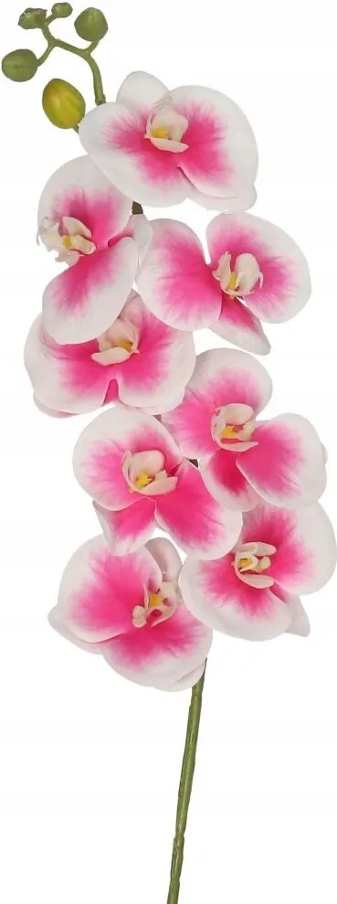 Orchidea Gumírozott Egyszemélyes Élő 98CM Művirág Prémium