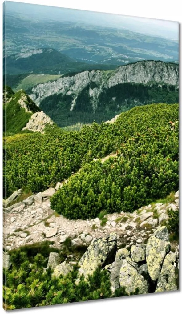 Vászonkép 80x120 Tátra Lengyel hegyek Kilátás