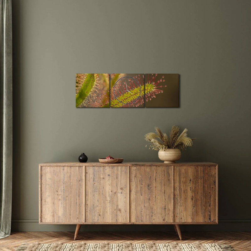 A növény képe (órával) (90x30 cm)