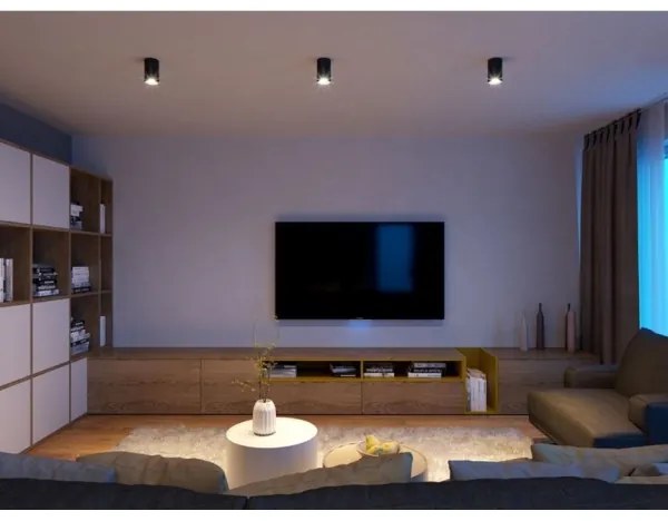 LED2 - LED Mennyezeti lámpa TUBUS LED/9W/230V fekete