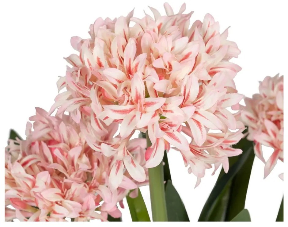 Művirág (magasság 100 cm) Hyacinth – Ixia