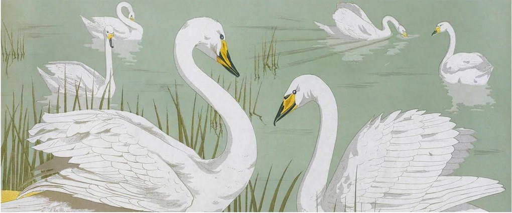 Flizelina Dekoratív Fotótapéta Hálószoba Hattyúk tó 250x104 Ragasztó