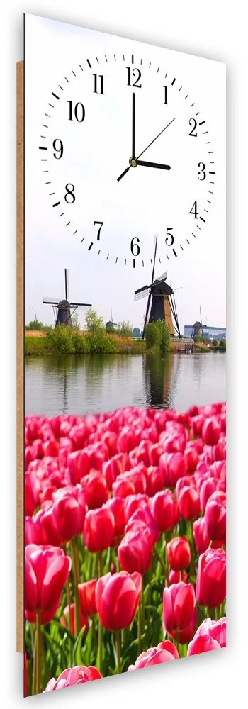 Gario Falióra Holland tájkép Méret: 40 x 118 cm