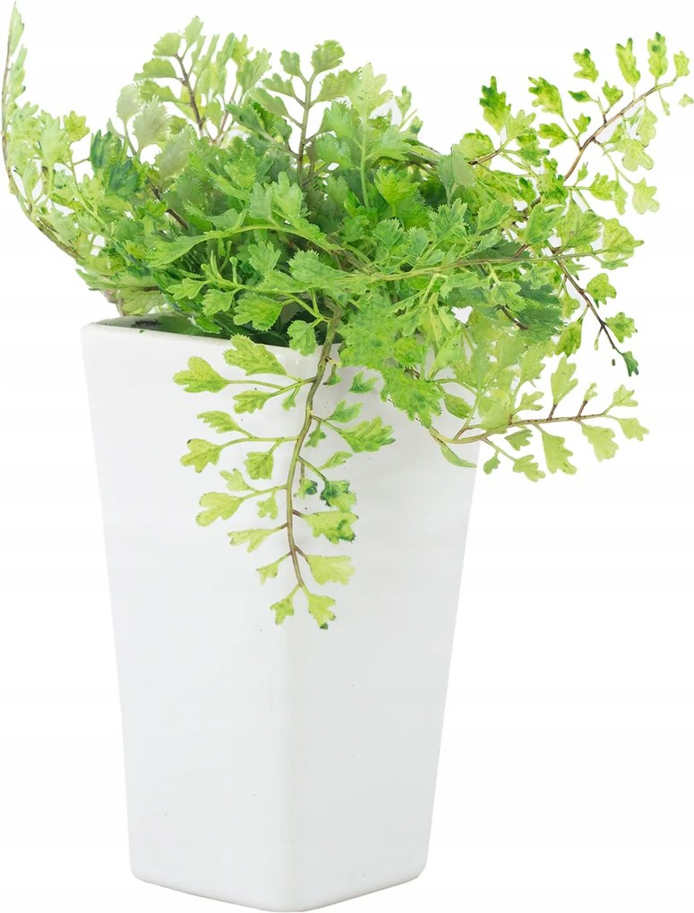 Adiantum Művirág kerámia kaspóban