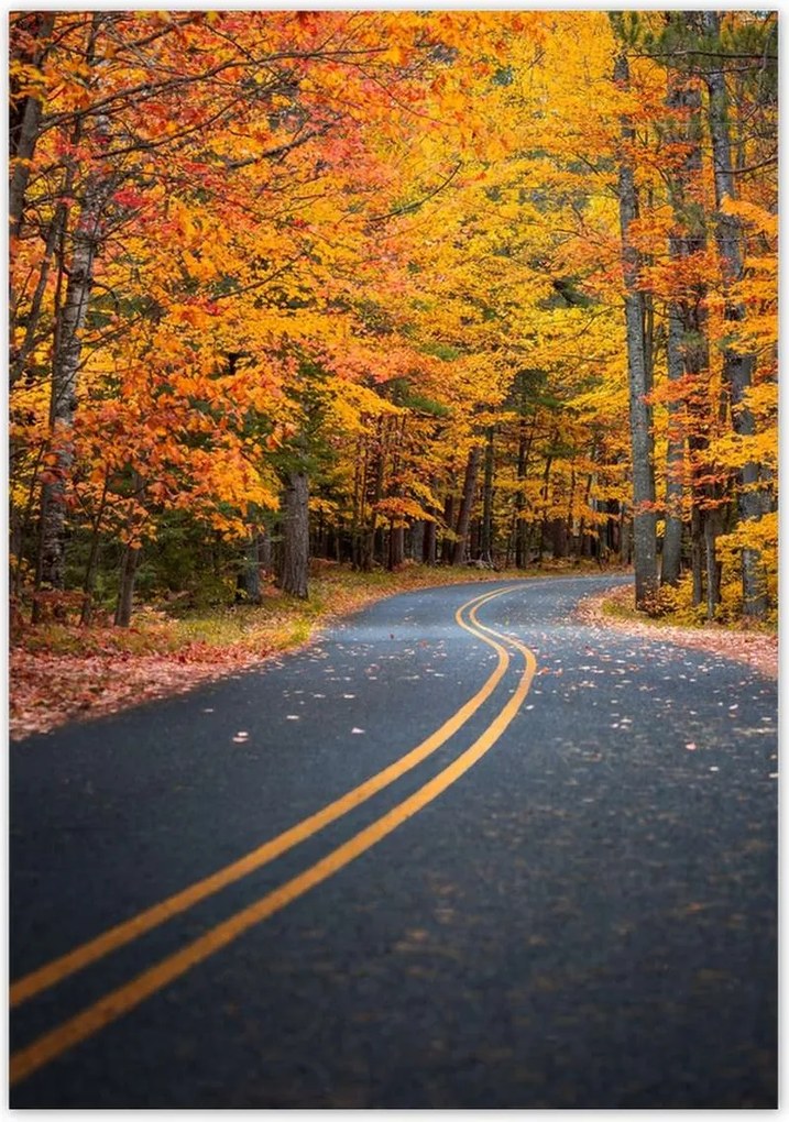 Poszterek 70x100 Tájkép Látvány