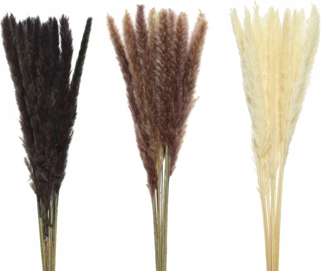 Természetes fű száraz tollak tolltartó virágok