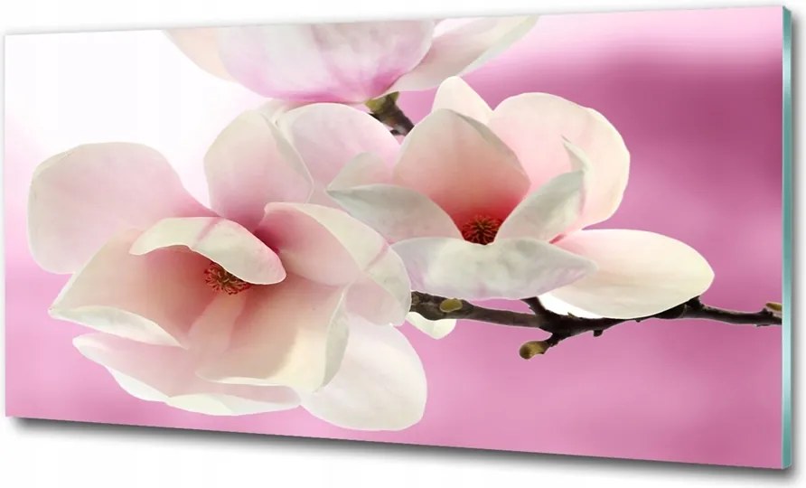 Fotótapéta üvegfalra Őszi fák 125x50