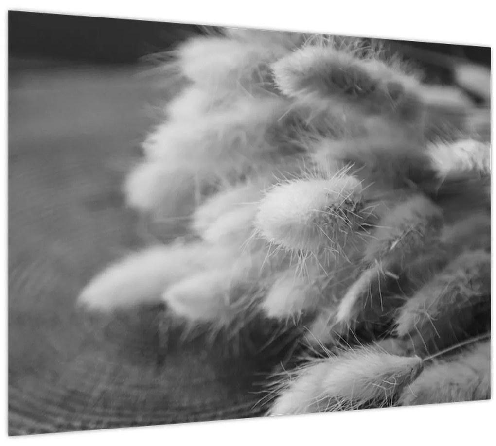 Kép - nyúlfarknyi fű az asztalon (70x50 cm)