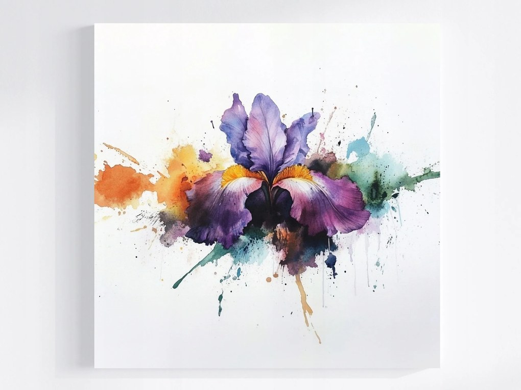 Vászonkép Canvas Akvarell Természet Virág Lila Írisz Splash 80x80