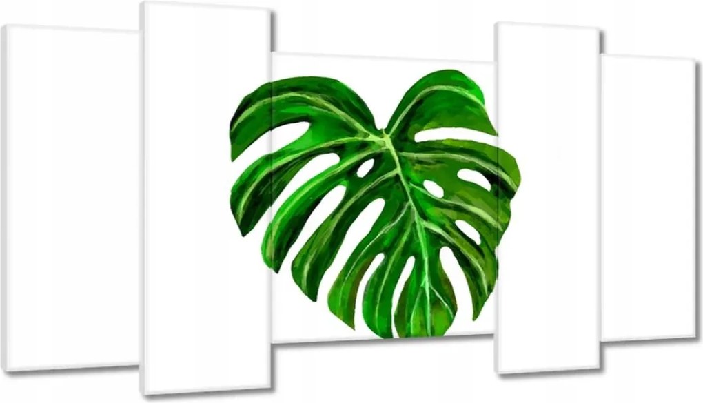 Vászonkép 120x65 Monsera levél lyukas