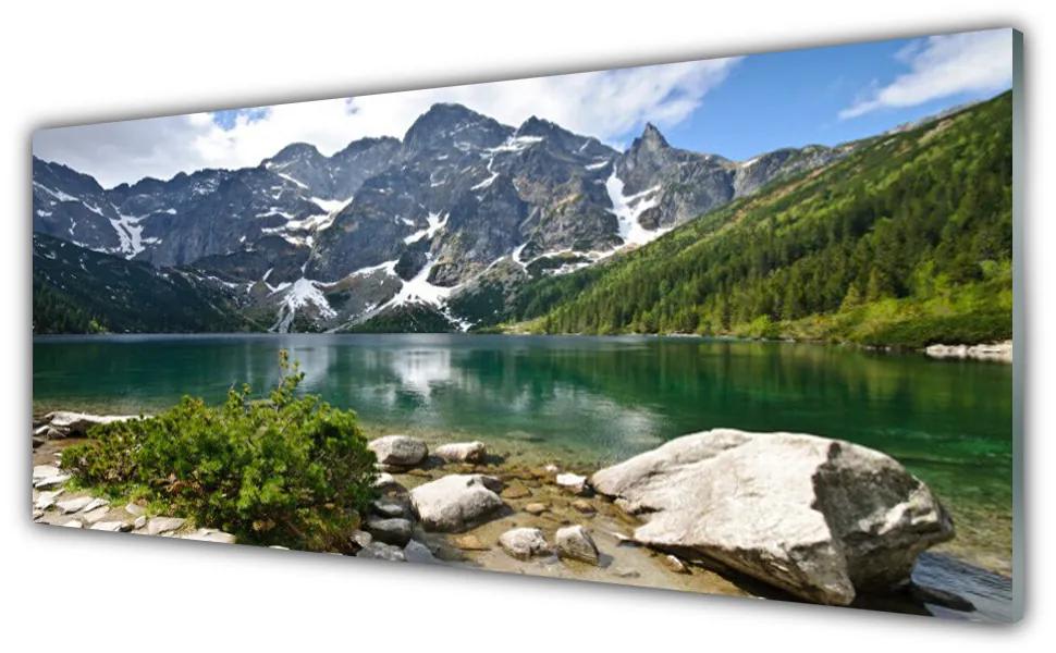 Akrilkép Lake hegyek táj 120x60 cm