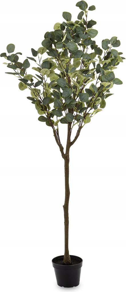 Eukaliptusz Magas Dekoratív Fa Mesterséges Egzotikus Növény 160 cm