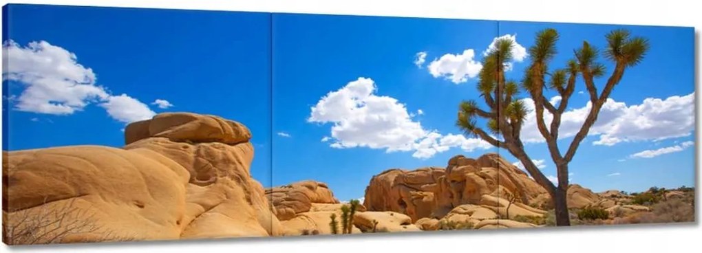 Vászonkép 120x40 Sivatagi táj