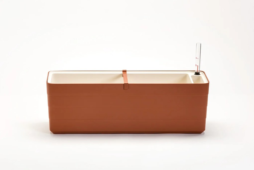 Berberis virágláda 60 cm terrakotta bézs