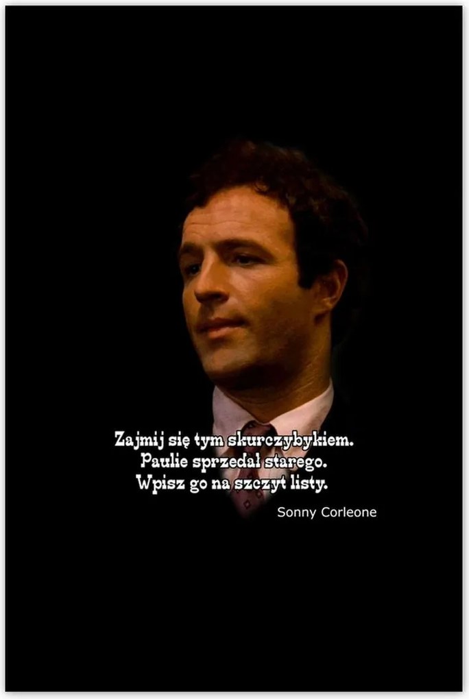 Poszterek 80x120 Godfather Sonny Idézetek
