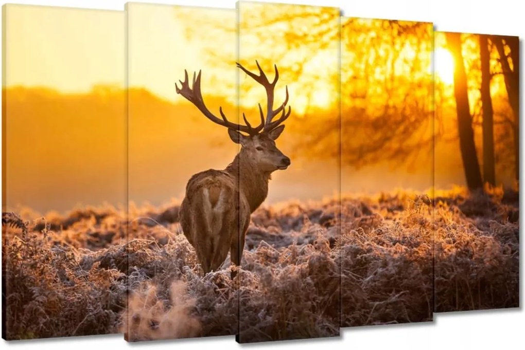 Vászonkép 150x95 Szarvas napfelkeltekor