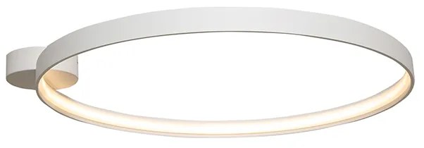 Circle