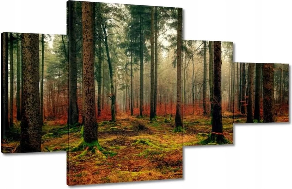 Festmények 130x80 Erdő Tájkép