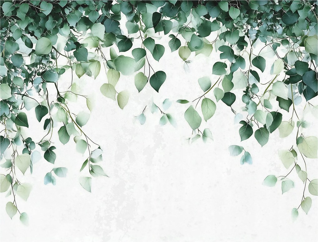 Fotótapéta Levelek Zöld Természet Konyha Hálószoba Nappali Tapéta 150x105