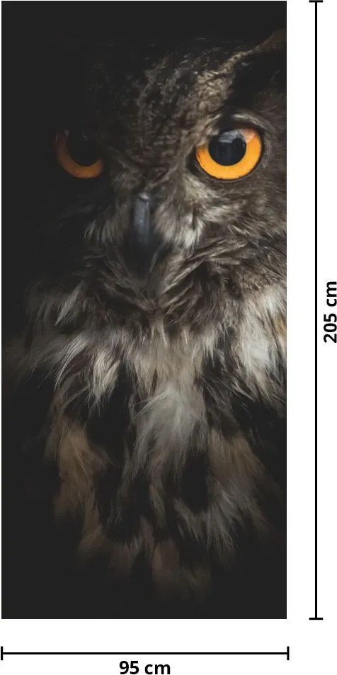 Fotótapéta ajtóra - Bagoly (95x205cm)