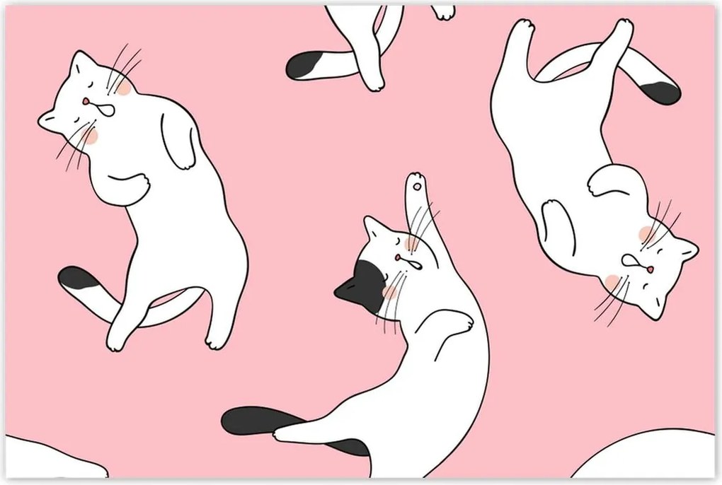 Poszterek 120x80 Cica Cicák Macskák