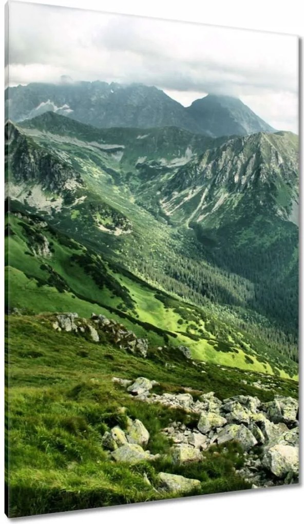 Vászonkép 80x120 Tátra Lengyel hegyek Kilátás