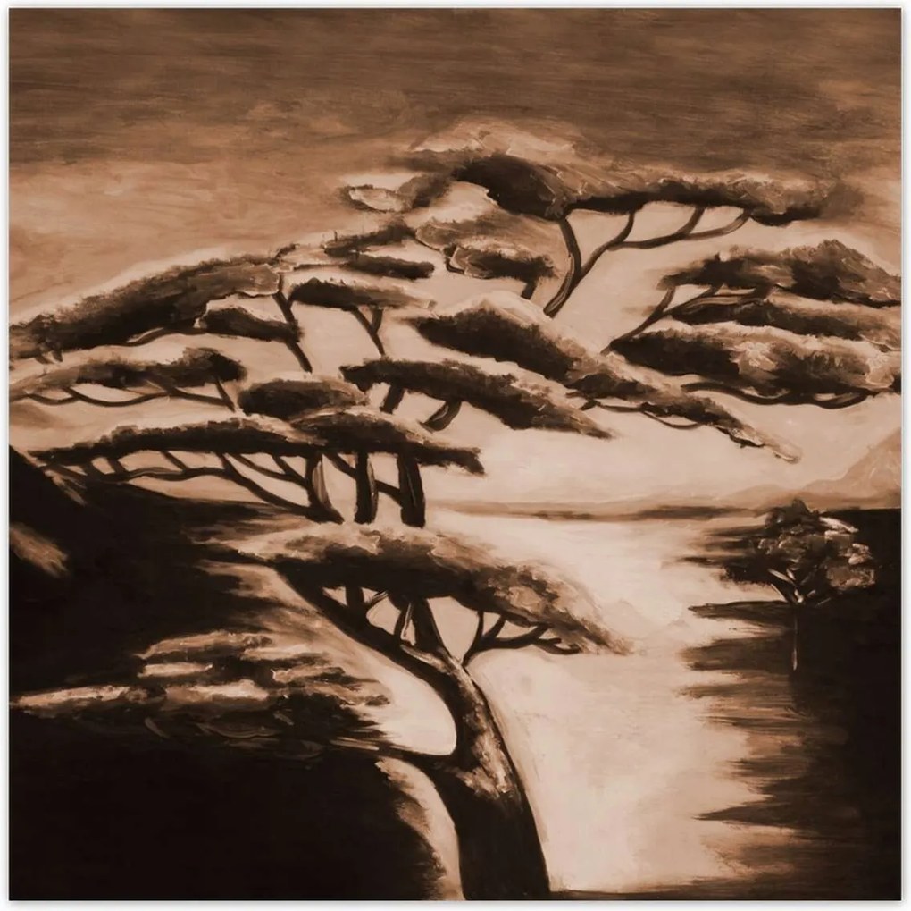 Plakátok 100x100 Afrikai fa