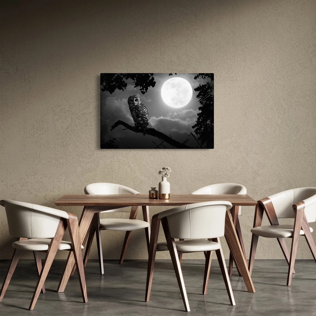 Kép - Éjjeli bagoly, fekete-fehér (90x60 cm)