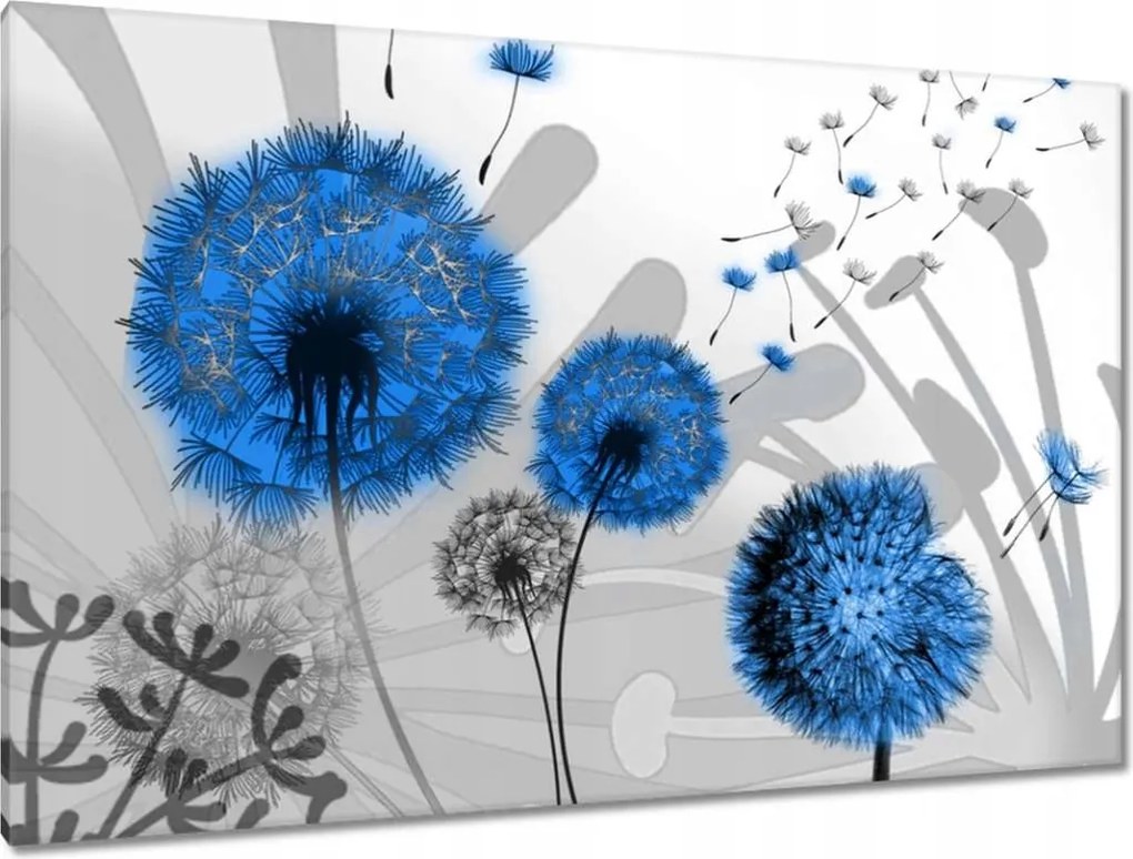 Vászonkép 120x80 Kék pitypangok