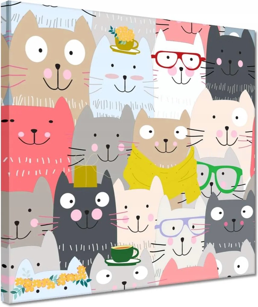 Vászonkép 30x30 Cica Cicák