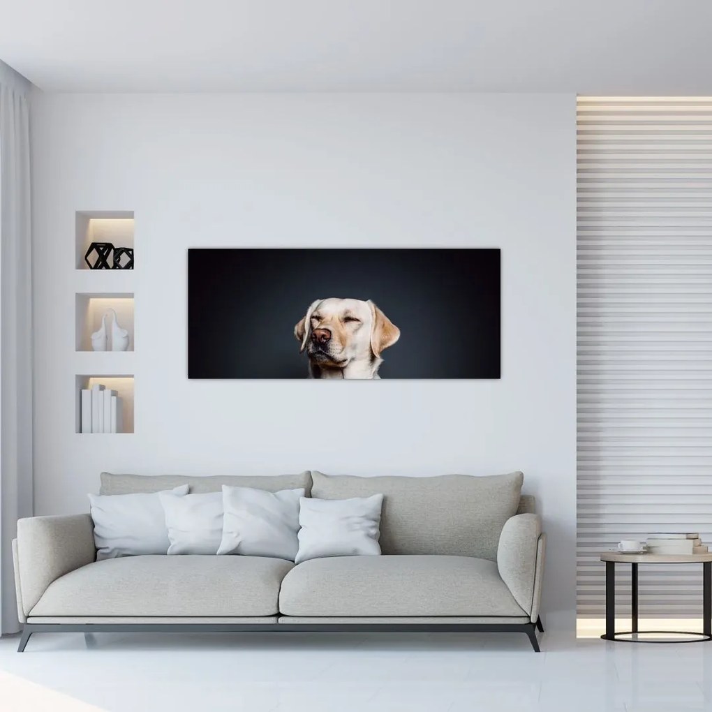 Labrador képe (120x50 cm)