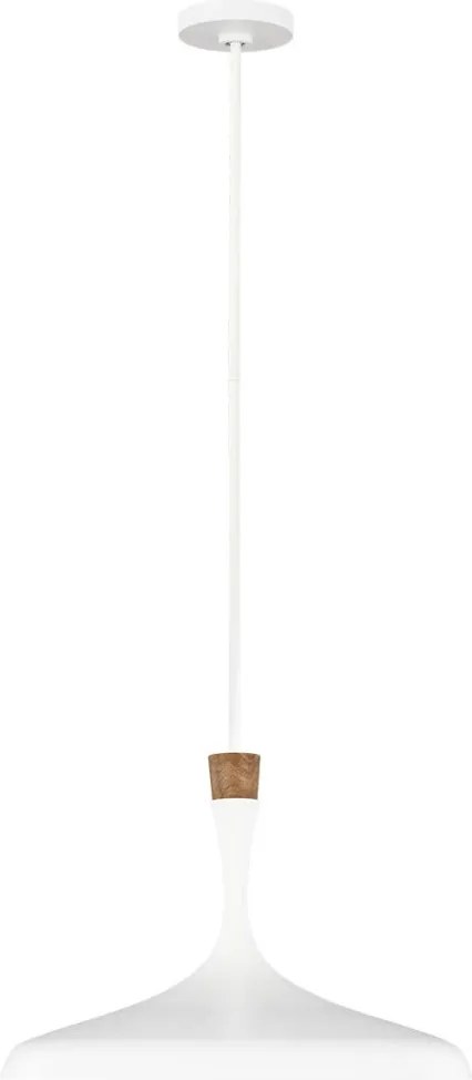 Feiss DARWIN FE-DARWIN-P Függőlámpa 1x60W/E27