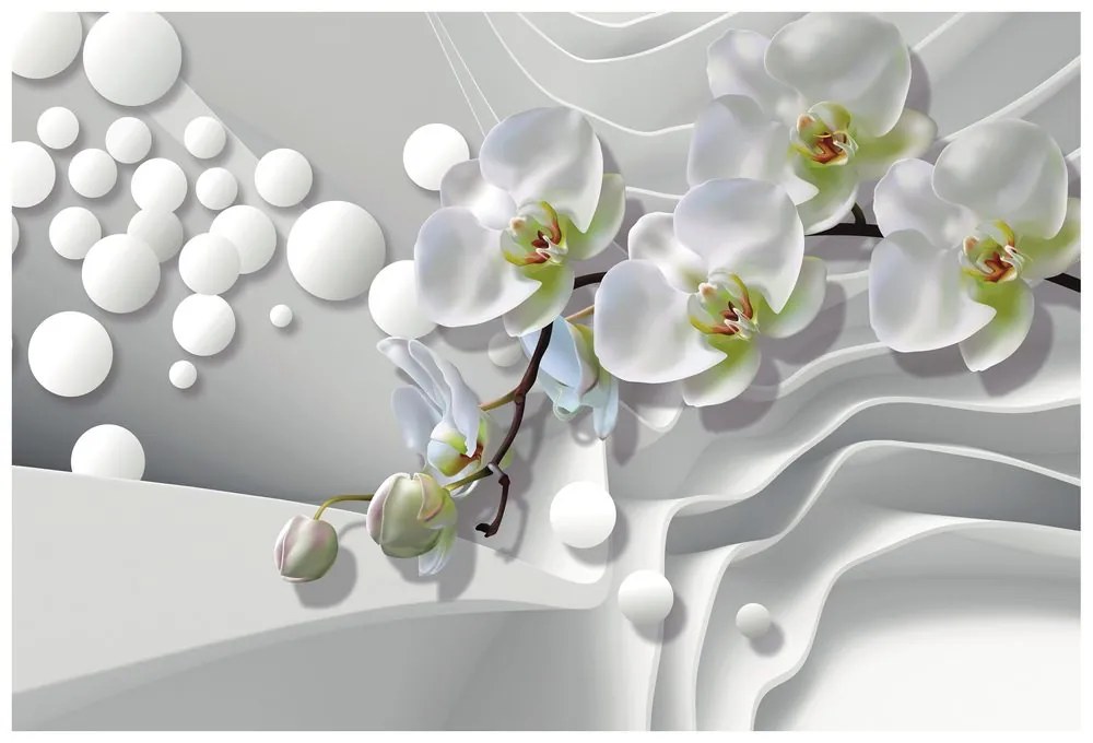 Tapéta orchidea absztrakt háttéren