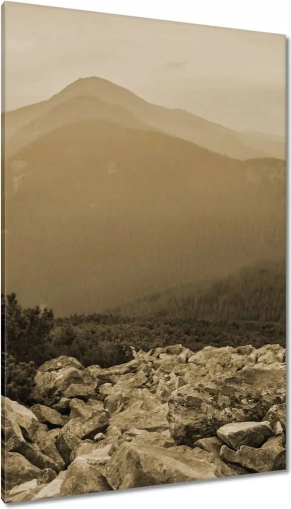 Vászonkép 80x120 Hegyi táj Tájkép