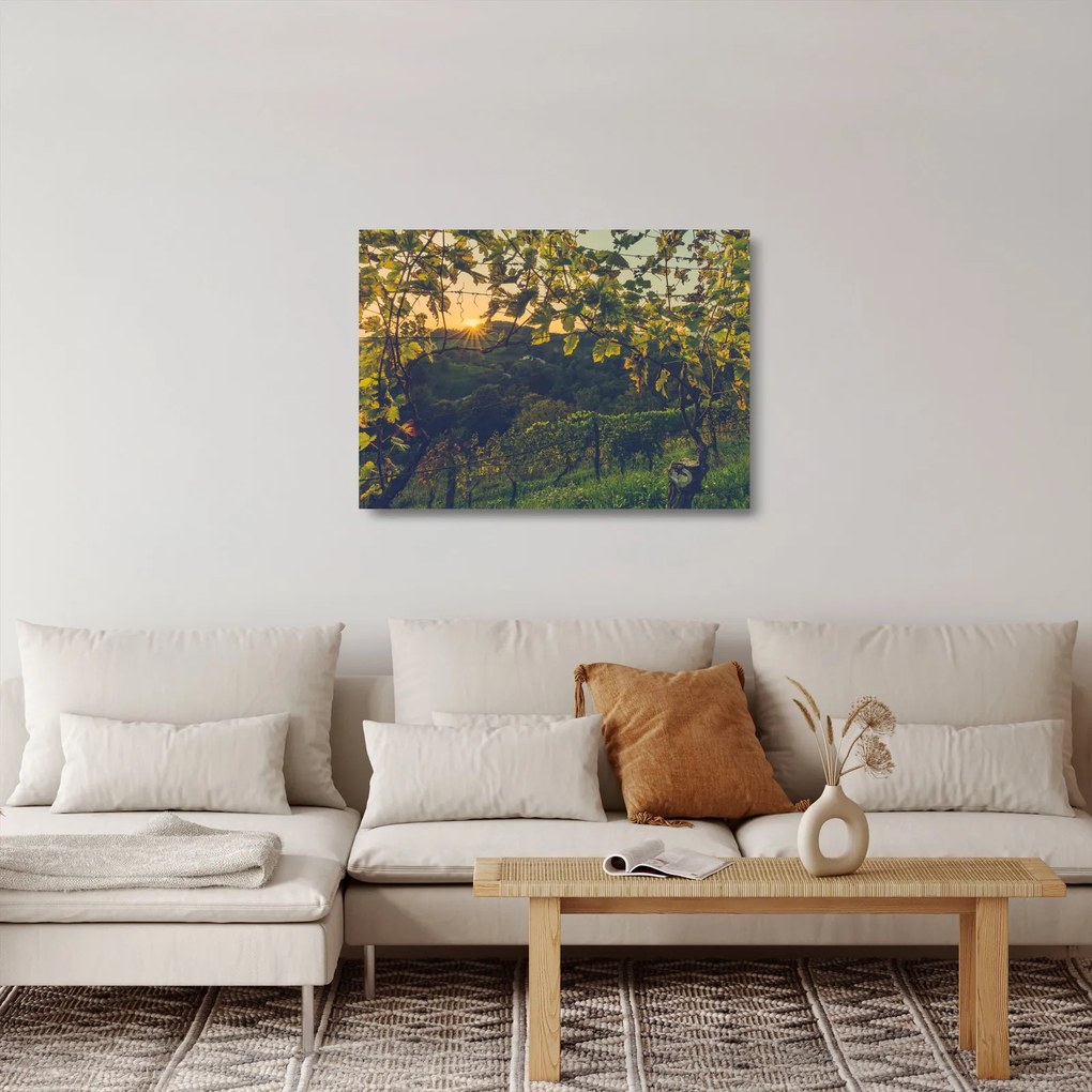 Kép - szőlőültetvény (üvegen) (70x50 cm)