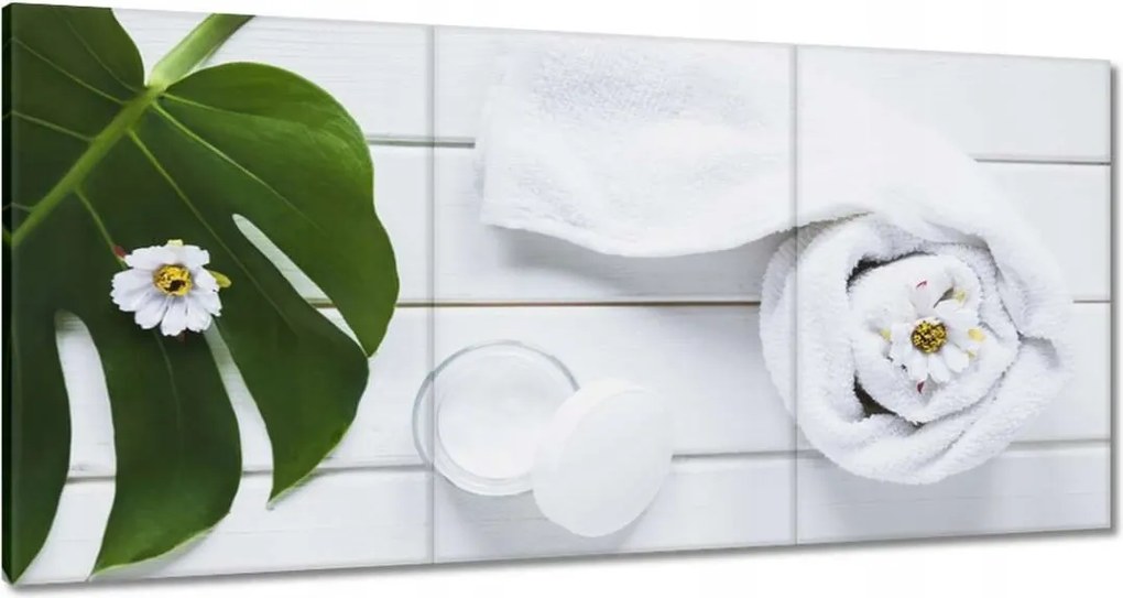 Festmények 120x60 Kozmetikumok a természetből